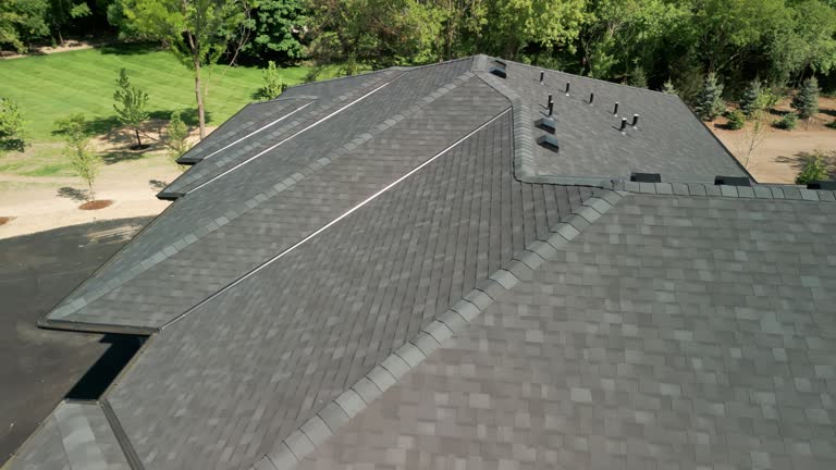 Best Roof Leak Repair  in Troy, MI