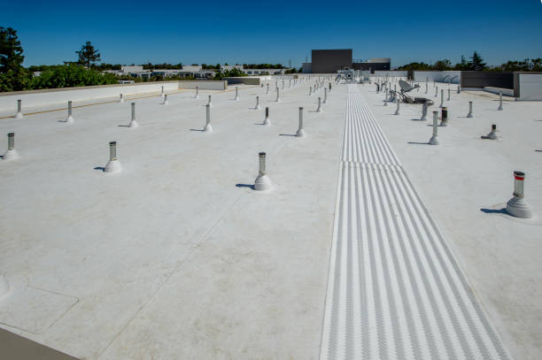 Best Roof Coating and Sealing  in Troy, MI
